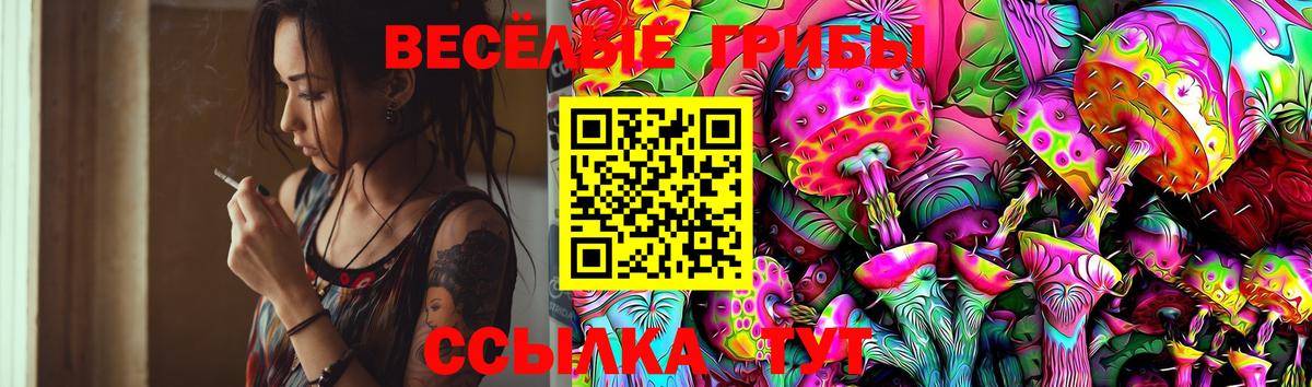 Галлюциногенные грибы MAGIC MUSHROOMS  Галлюциногенные грибы ЛСД  Сочи  Вход с VPN 